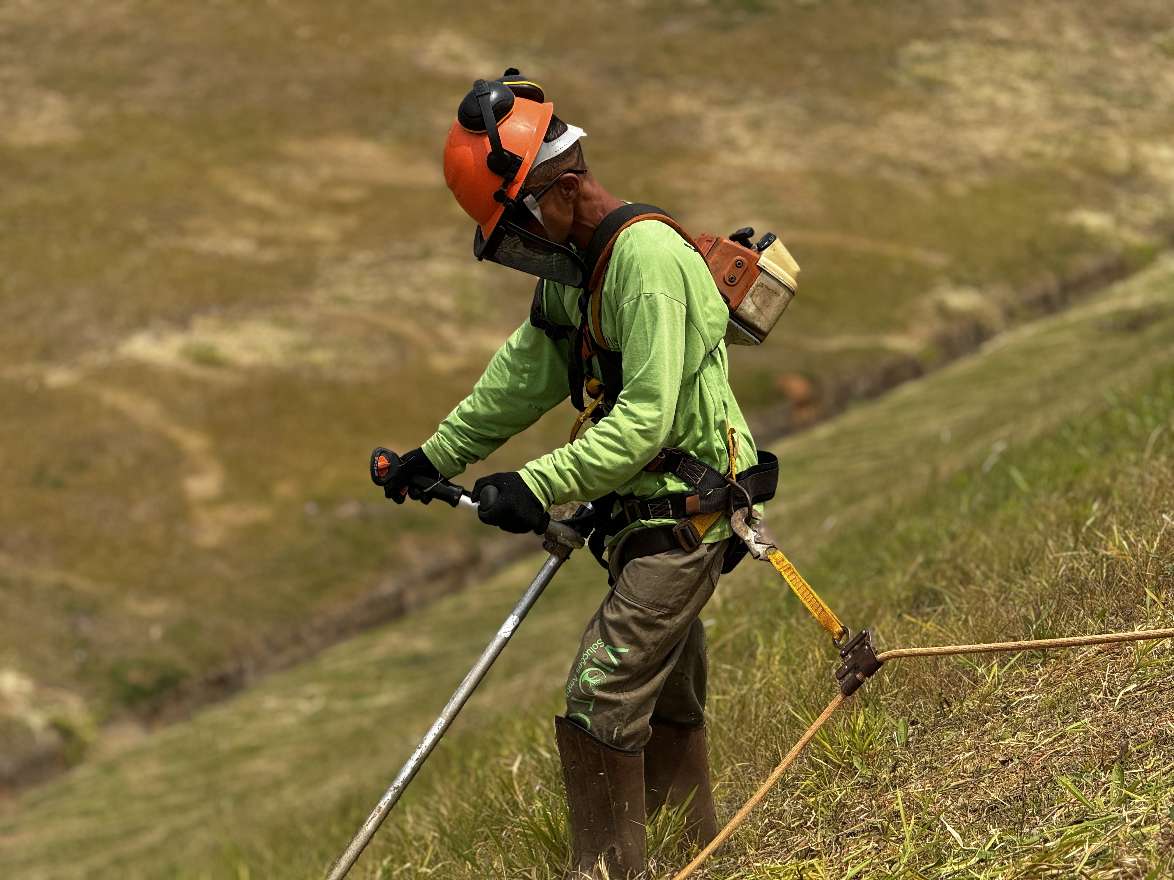 Manutenção de Áreas Verdes: Cuidamos do seu espaço com excelência