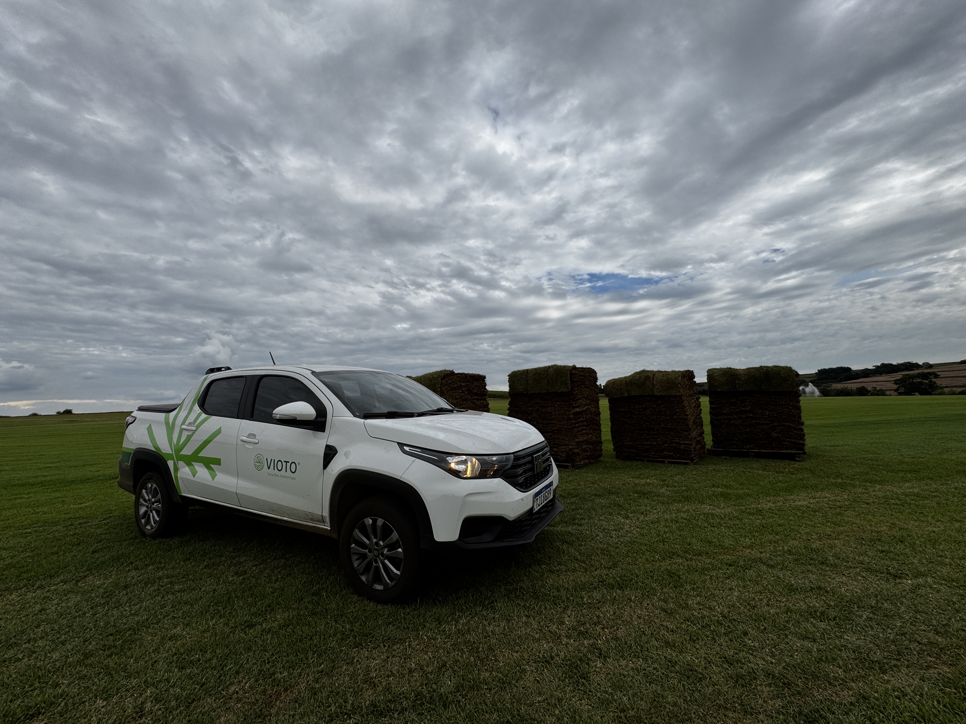 Grama Esmeralda em São Paulo: fornecimento e plantio
