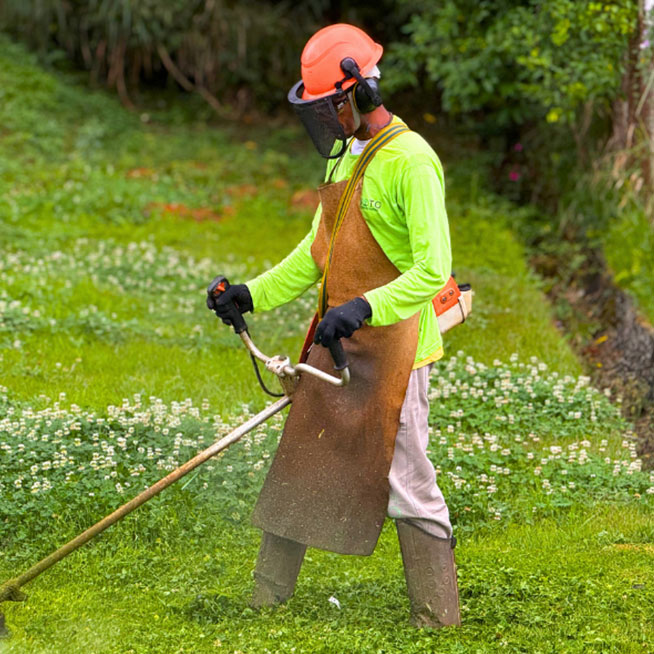 Manutenção de áreas verdes
